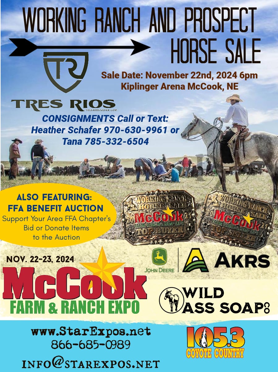 Working Ranch & Prospect Horse Sale